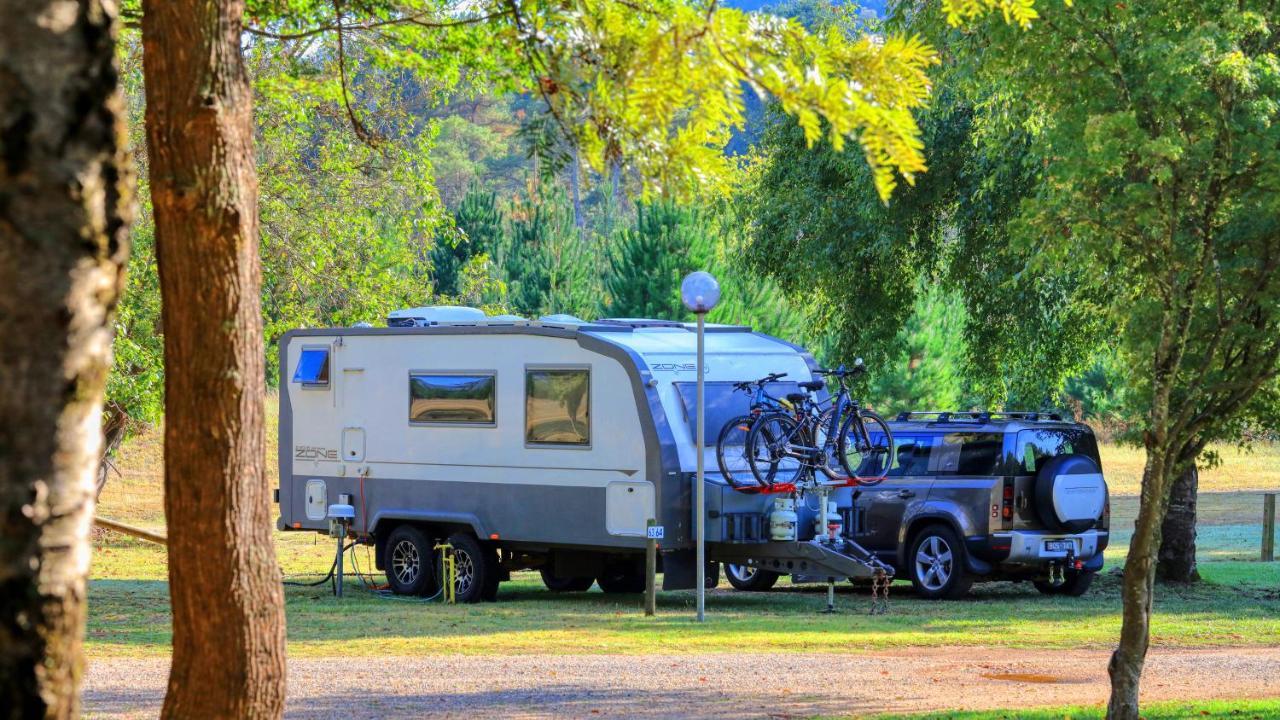 Big4 Porepunkah Holiday Park Bright Exterior foto