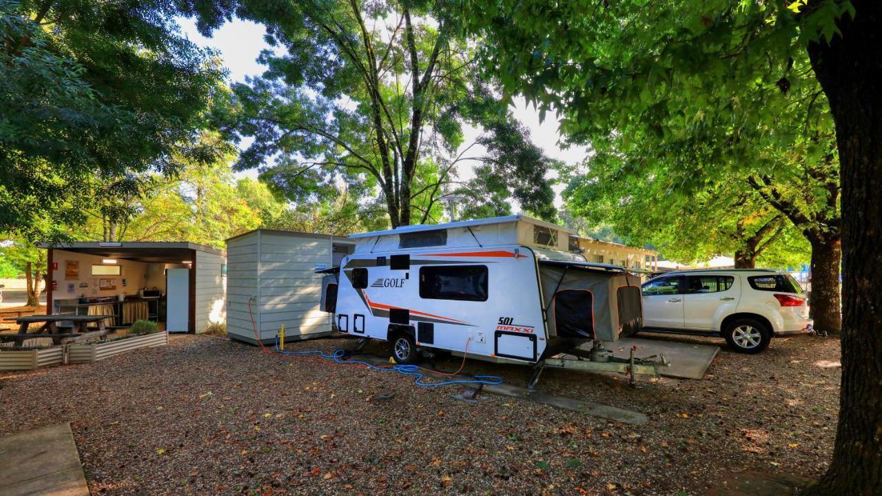 Big4 Porepunkah Holiday Park Bright Exterior foto